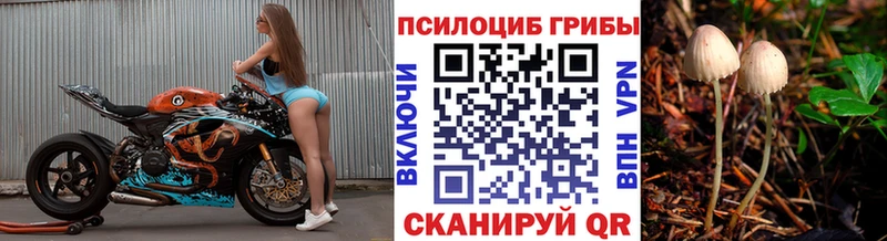 Купить  Уяр  Галлюциногенные грибы Psilocybine cubensis 