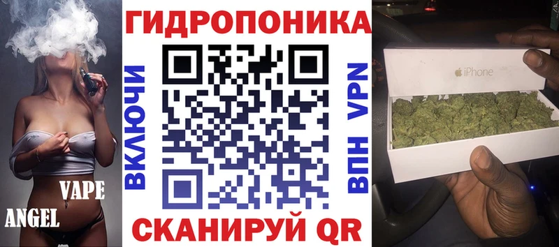 МАРИХУАНА сатива Уяр